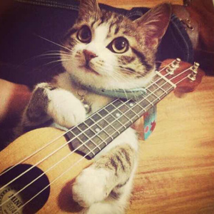 女子被狂揉下部❌羞羞网站
